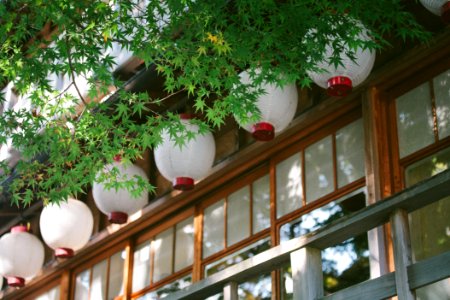 Background, Peaceful, Building