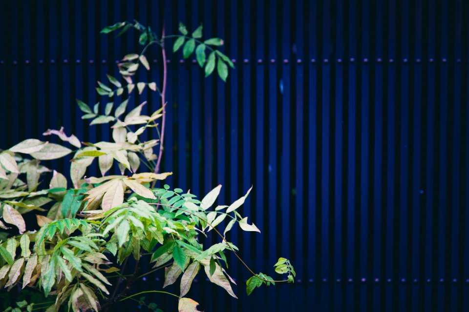 Green, Blue, Background