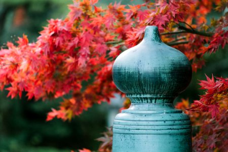 Peaceful, Tradition, Religion