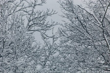 Peaceful, Freezing, Cold