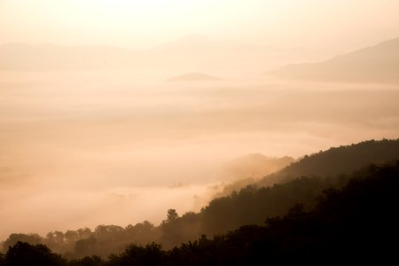 bird's eye view photography of mountain with fogs photo