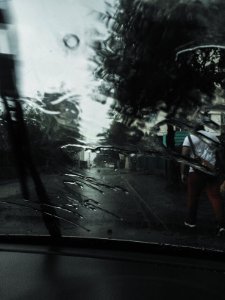 Windshield, Wind, Car photo