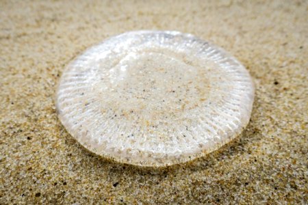 East hampton main beach, East hampton, United states