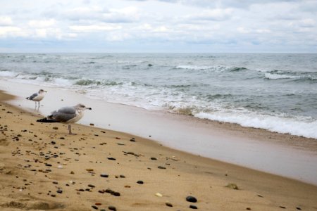 East hampton main beach, East hampton, United states photo