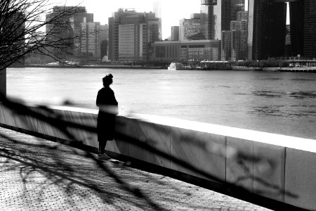 Roosevelt isl, Franklin d roosevelt four freedoms park, United states photo