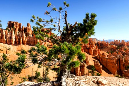 Bryce canyon, United states, Scape