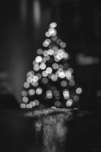 Collection, Christmas light, Christmas tree photo