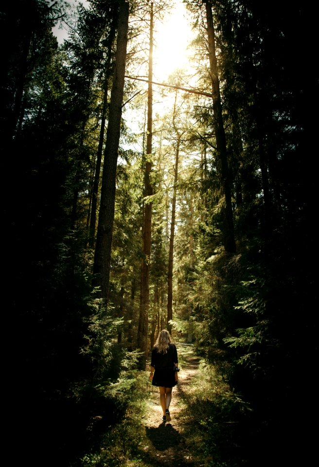 woman walking in the forest