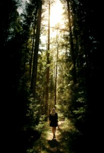 woman walking in the forest