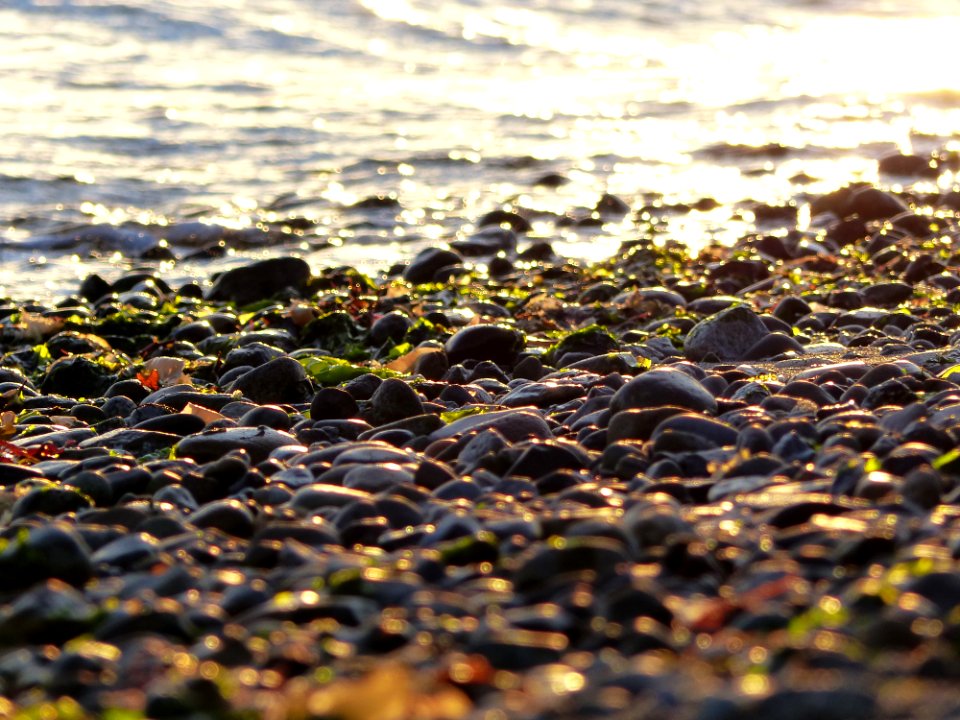 Golden gardens park rd, Seattle, United states