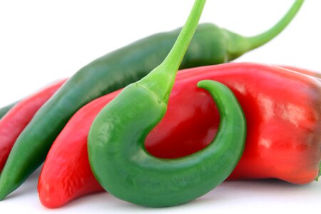 Catering cellulite chilli