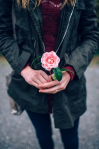 woman in black leather jacket holding pink flower during daytime photo