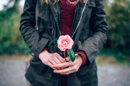 woman holding pink rose standing near trees during daytime photo
