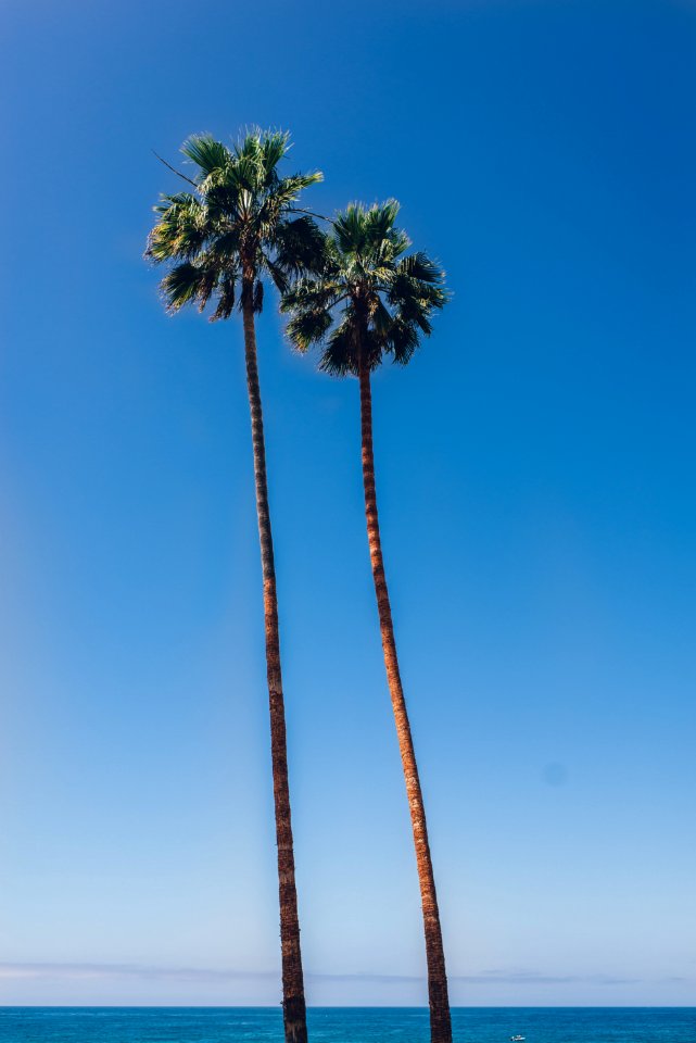 San diego, United states, Ocean