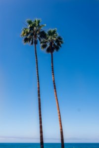 San diego, United states, Ocean