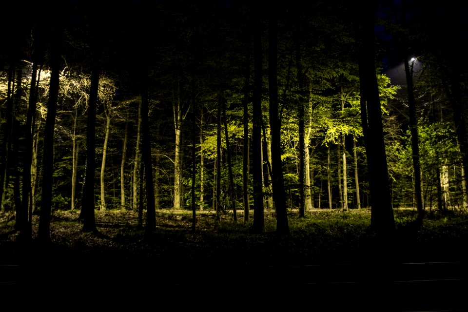 Forest, Brussels, Belgium