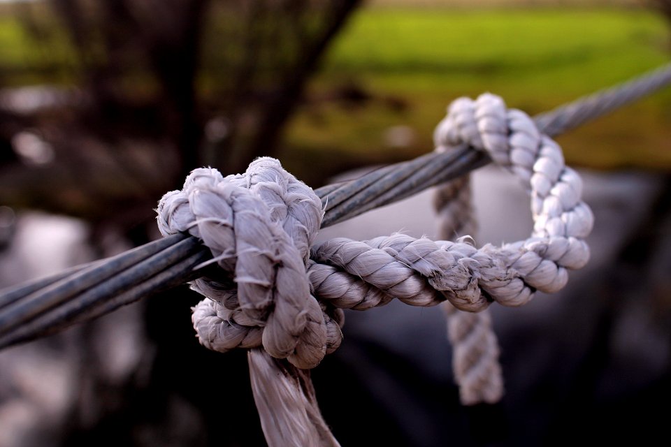 Nature, Tiedup, Tied