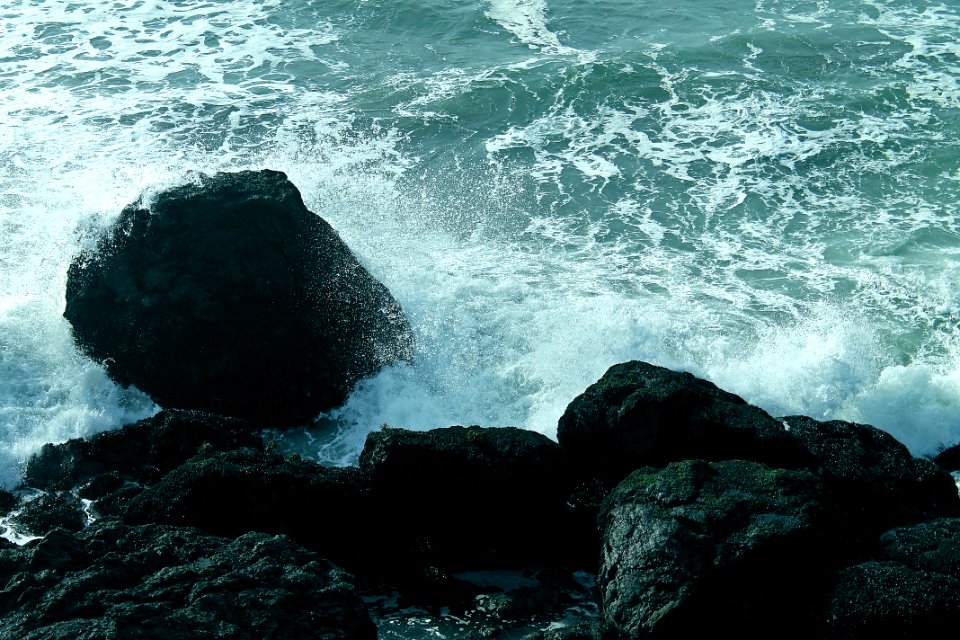 Bodega bay, United states, Seafoam photo