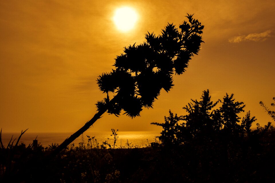 Landscape sky sun