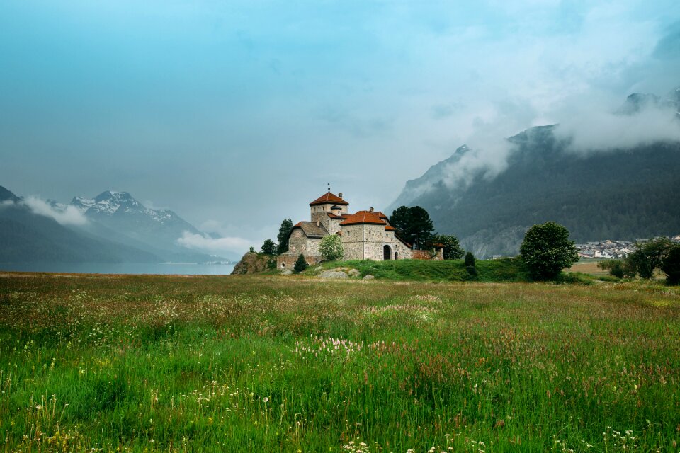 Daylight grass grassland