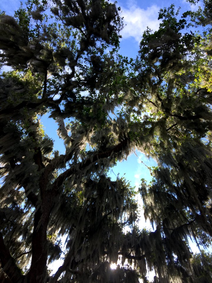 West orange trail, Winter garden, United states