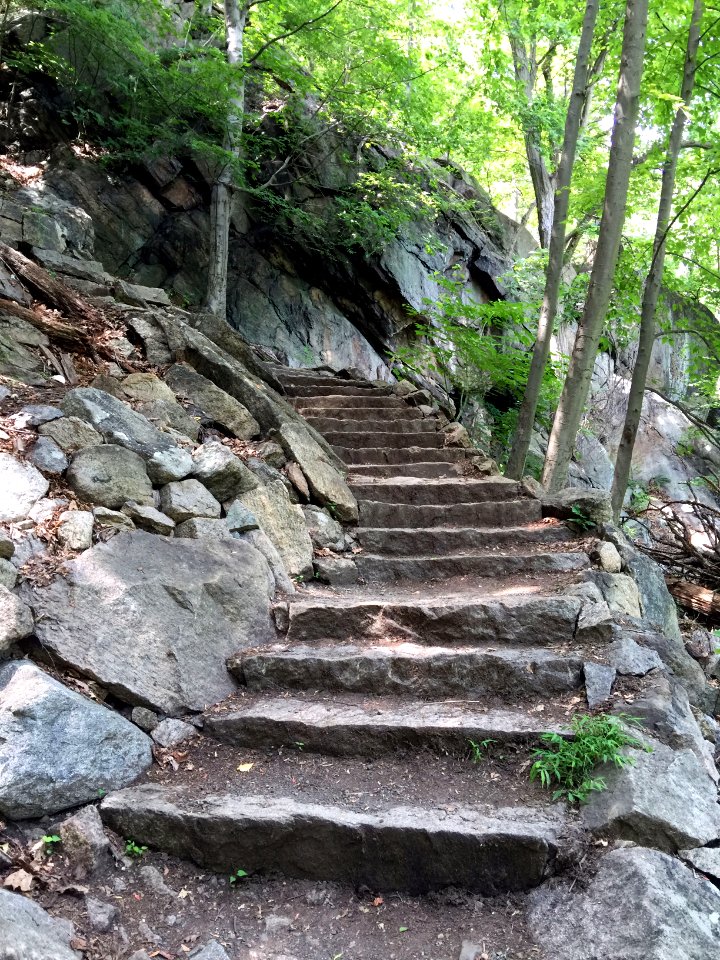Nature, Bear mountain, United states