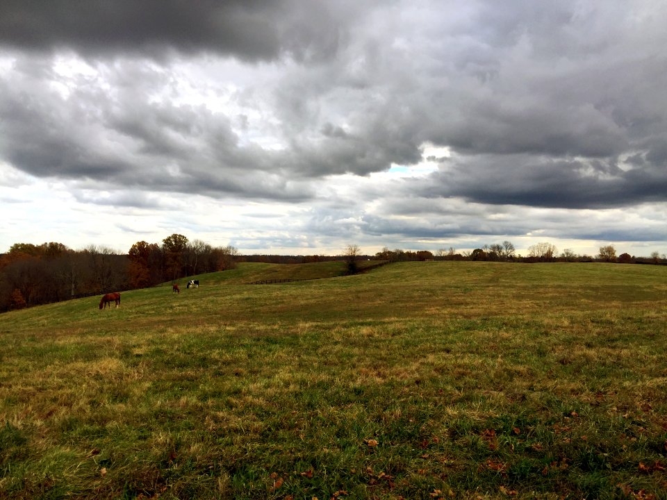 Walton, Kentucky, United states