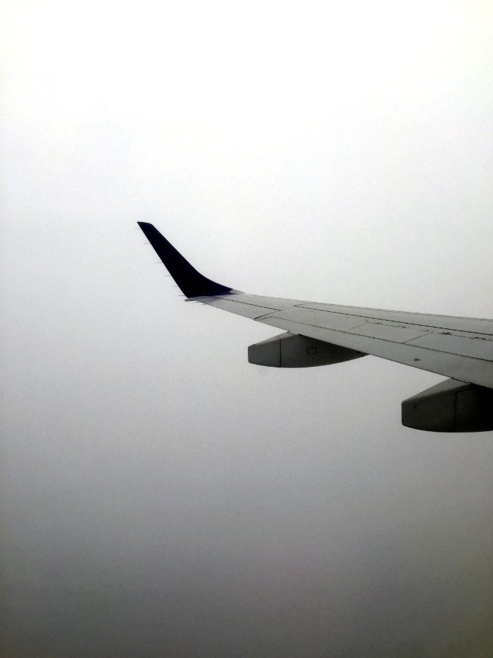 Wing, Flight, Fog