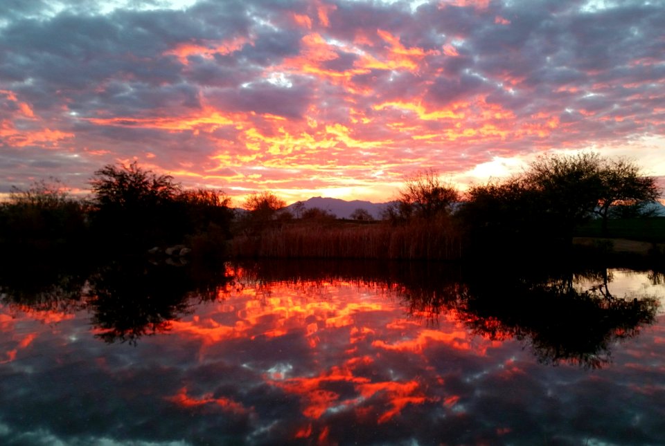 Sheraton wild horse pass resort  spa, Ler, United states