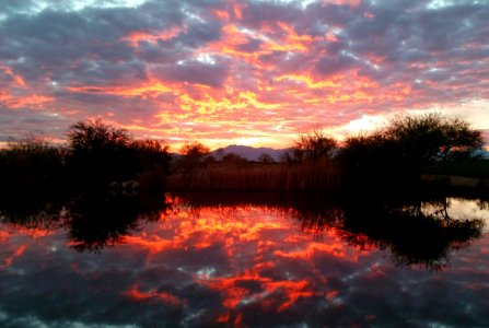Sheraton wild horse pass resort  spa, Ler, United states