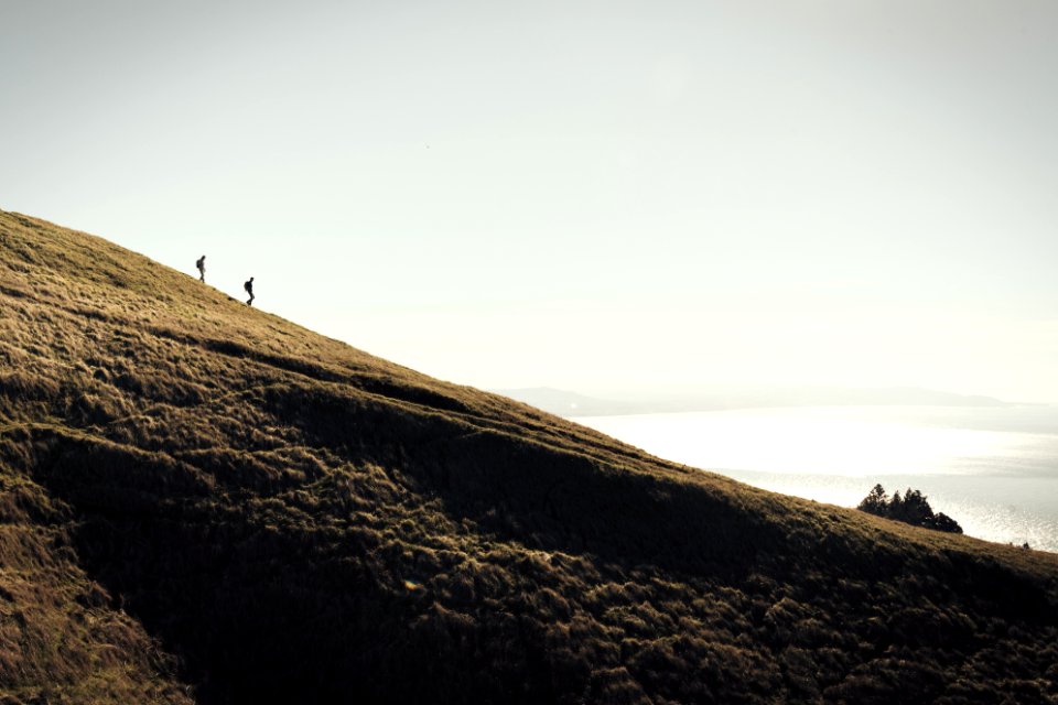 Mount tamalpais, United states, Trail