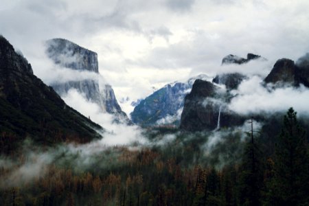 scenery of forest field and mountain photo