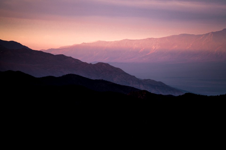 Ancient bristlecone pine forest, United states, Desert