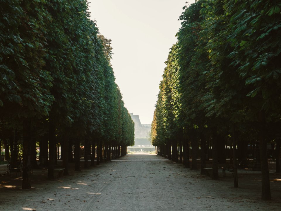 Paris, Tuileries garden, France