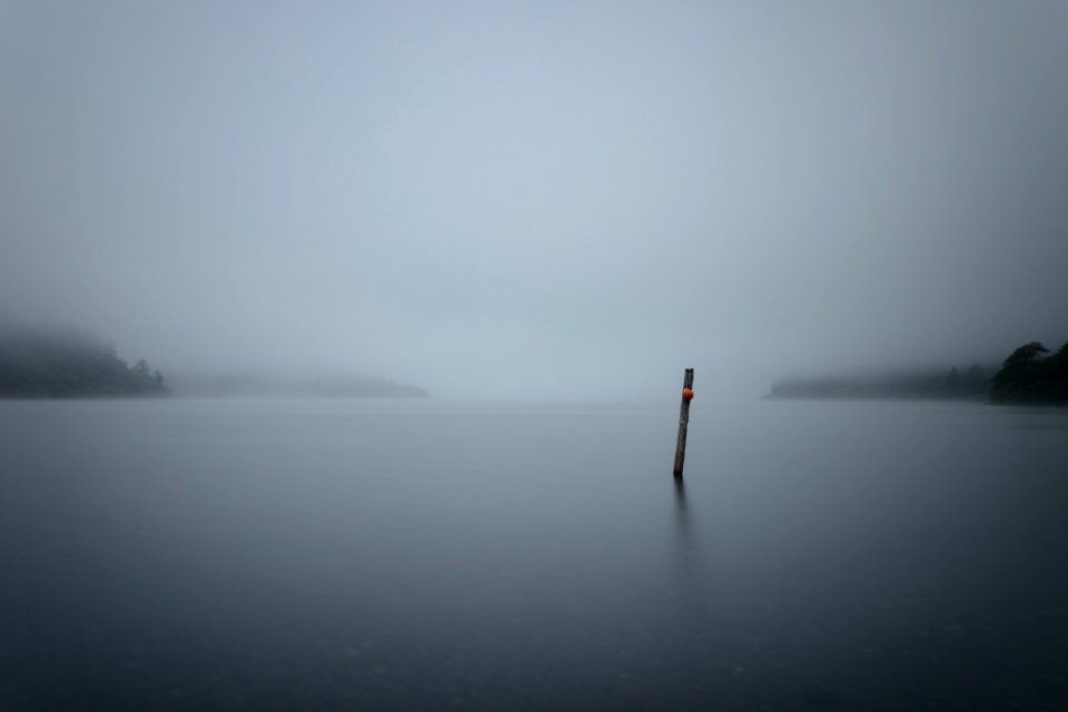 Lake, Water, Forest