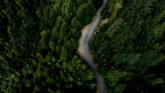 aerial photography of asphalt road surrounded with trees photo