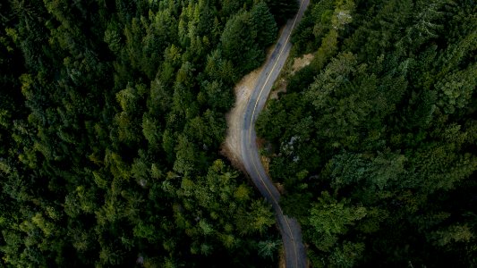 aerial photography of asphalt road surrounded with trees