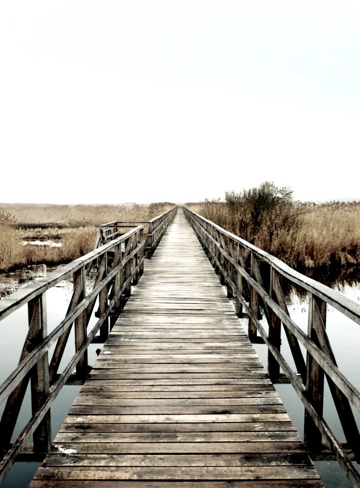 Lake, Swamp, Gangplank