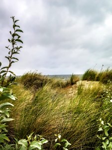 Baltic sea, Sea