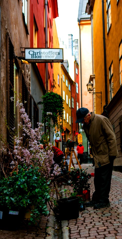 Sweden, Gamla stan, Stockholm