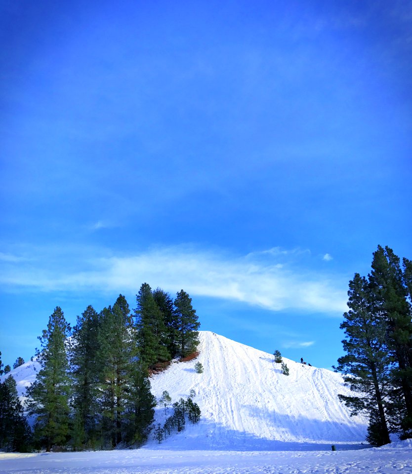 Mountain, Tree, Reach