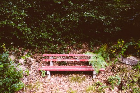 Badenbaden, Germany, Black forest photo