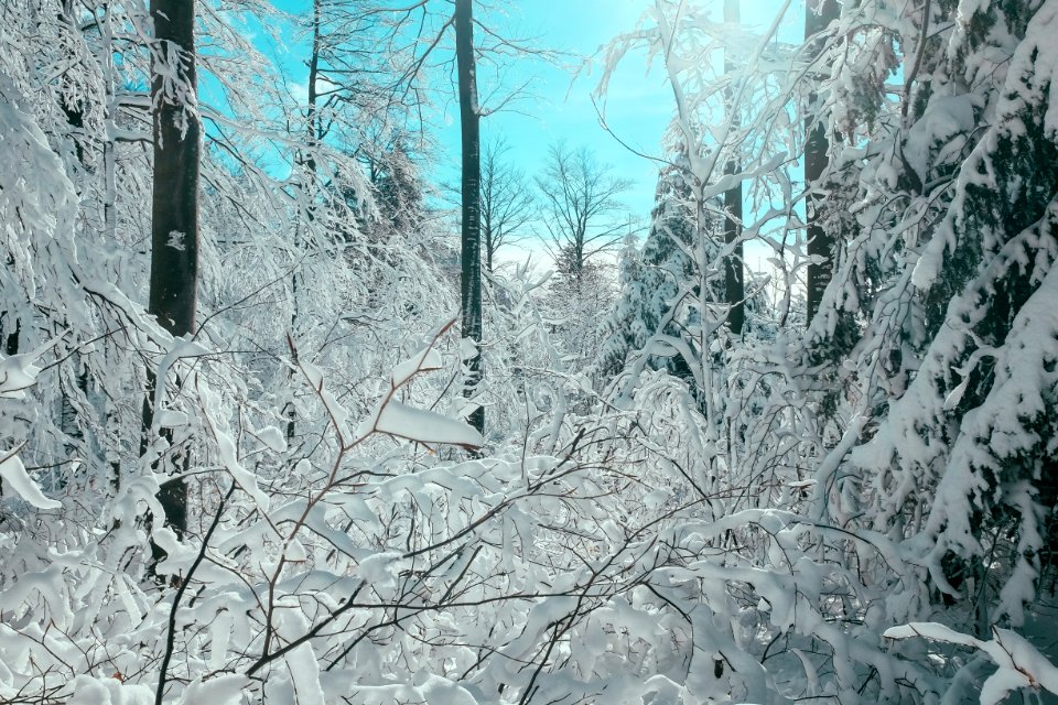Platak, Croatia, Fujifilm
