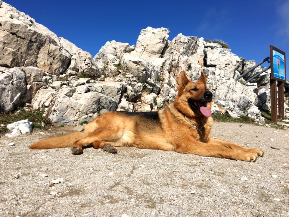 Lovran, Primorjegorski kotar county, Croatia