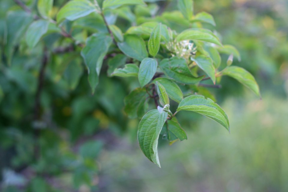 Odesa, Ukraine, Outdoor