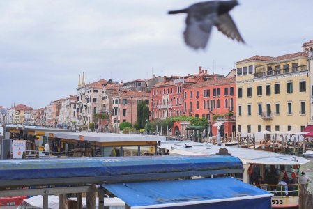Venice, Italy, Canal