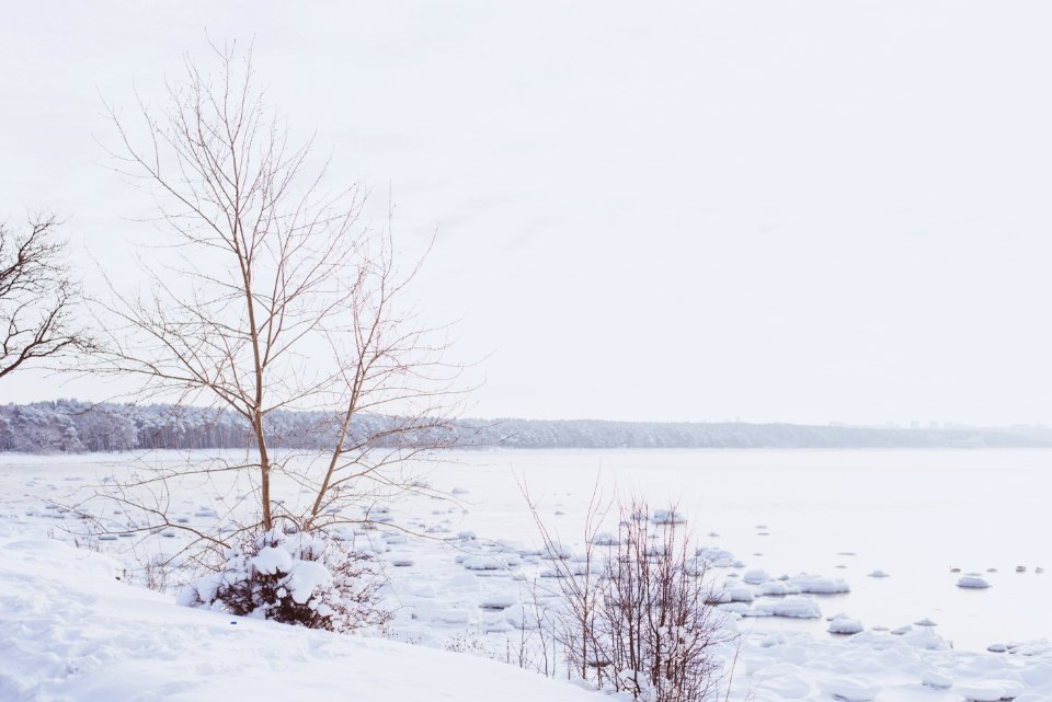 Tallinn, Estonia, Nature