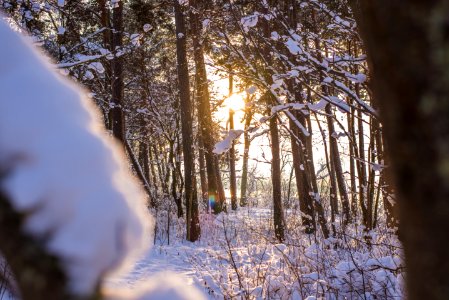 Tallinn, Estonia, Winter photo