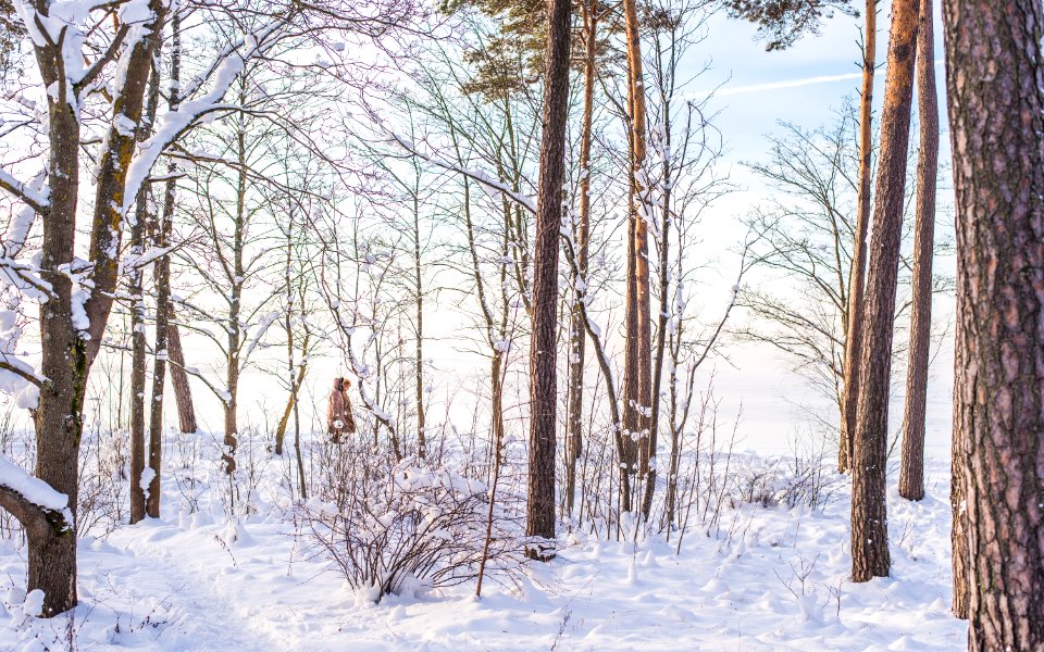 Tallinn, Estonia, January