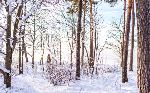 Tallinn, Estonia, January